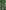 vine